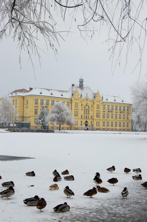 Město Litovel se představuje poprvé Město Litovel se představuje poprvé